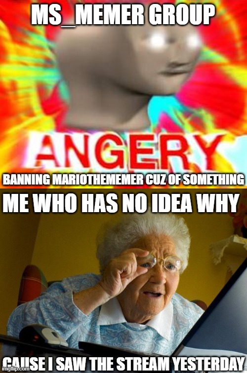 MS_MEMER GROUP BANNING MARIOTHEMEMER CUZ OF SOMETHING ME WHO HAS NO IDEA WHY CAUSE I SAW THE STREAM YESTERDAY | image tagged in surreal angery,memes,grandma finds the internet | made w/ Imgflip meme maker