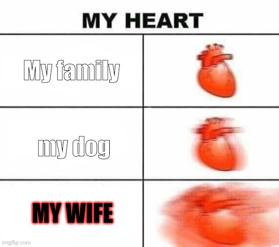 I love you to my wife Schnerticus_girl | My family; my dog; MY WIFE | image tagged in my heart blank | made w/ Imgflip meme maker