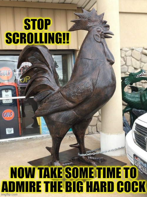 Its such a hard cock | STOP SCROLLING!! NOW TAKE SOME TIME TO ADMIRE THE BIG HARD COCK | image tagged in bighardcock,funny,memes,dick pic,fuck you,star wars | made w/ Imgflip meme maker