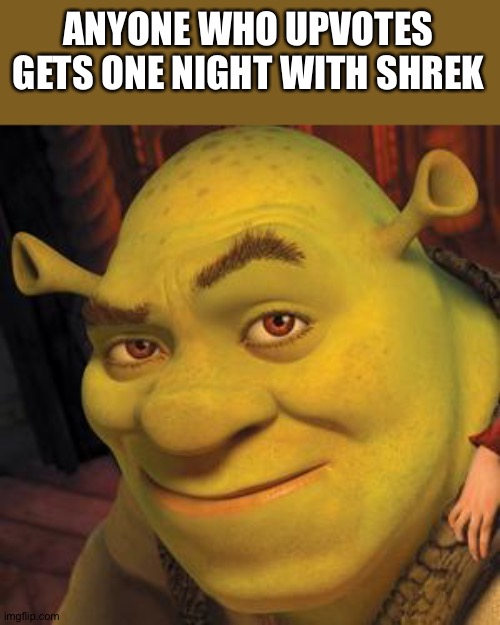 Well, do you? | ANYONE WHO UPVOTES GETS ONE NIGHT WITH SHREK | image tagged in shrek sexy face | made w/ Imgflip meme maker