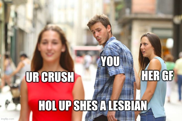 Distracted Boyfriend | YOU; HER GF; UR CRUSH; HOL UP SHES A LESBIAN | image tagged in memes,distracted boyfriend | made w/ Imgflip meme maker