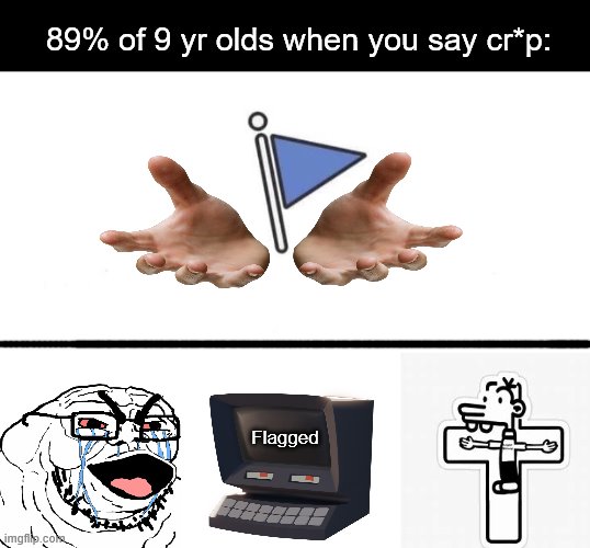 [TITLE] | 89% of 9 yr olds when you say cr*p:; Flagged | image tagged in memes,flag | made w/ Imgflip meme maker