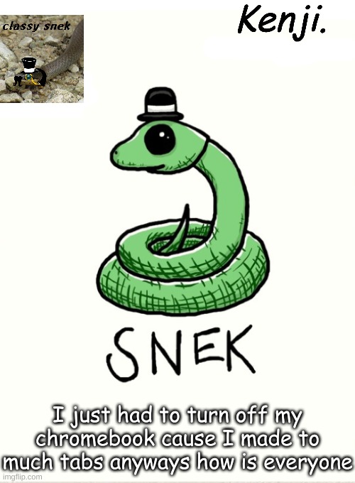 snek | I just had to turn off my chromebook cause I made to much tabs anyways how is everyone | image tagged in snek | made w/ Imgflip meme maker