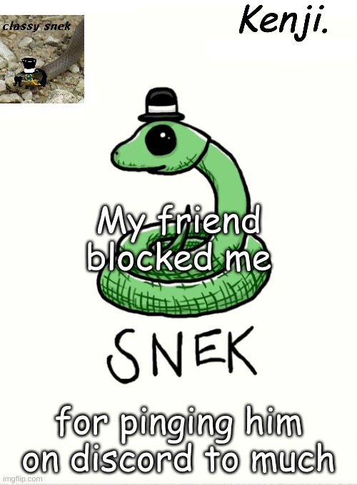 I dont really blame him I can do @everyone 47 times a day | My friend blocked me; for pinging him on discord to much | image tagged in snek | made w/ Imgflip meme maker