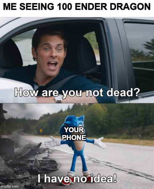 How are you not dead | ME SEEING 100 ENDER DRAGON YOUR PHONE | image tagged in how are you not dead | made w/ Imgflip meme maker