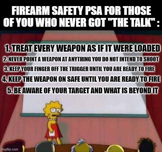 So easy it's taught to children | FIREARM SAFETY PSA FOR THOSE OF YOU WHO NEVER GOT "THE TALK" :; 1. TREAT EVERY WEAPON AS IF IT WERE LOADED; 2. NEVER POINT A WEAPON AT ANYTHING YOU DO NOT INTEND TO SHOOT; 3. KEEP YOUR FINGER OFF THE TRIGGER UNTIL YOU ARE READY TO FIRE; 4. KEEP THE WEAPON ON SAFE UNTIL YOU ARE READY TO FIRE; 5. BE AWARE OF YOUR TARGET AND WHAT IS BEYOND IT | image tagged in lisa simpson speech,politics,guns,safety,psa | made w/ Imgflip meme maker