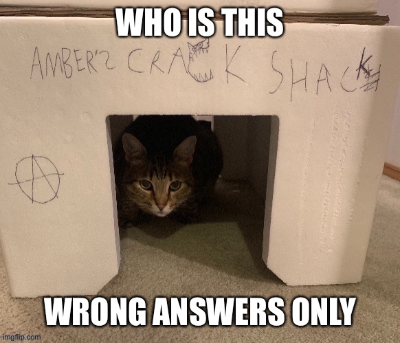 Ambers Crack Shack | WHO IS THIS; WRONG ANSWERS ONLY | image tagged in ambers crack shack | made w/ Imgflip meme maker