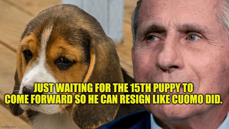 Fauci Ouchie | JUST WAITING FOR THE 15TH PUPPY TO COME FORWARD SO HE CAN RESIGN LIKE CUOMO DID. | image tagged in fauci's ouchie,torturer,dog memes,sounds like communist propaganda,wuhan,hoax | made w/ Imgflip meme maker