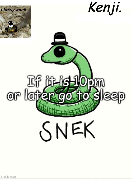 snek | If it is 10pm or later go to sleep | image tagged in snek | made w/ Imgflip meme maker