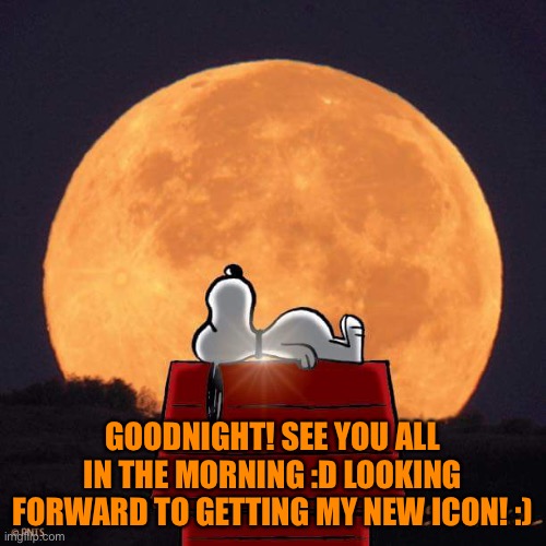 Goodnight :) | GOODNIGHT! SEE YOU ALL IN THE MORNING :D LOOKING FORWARD TO GETTING MY NEW ICON! :) | image tagged in goodnight | made w/ Imgflip meme maker