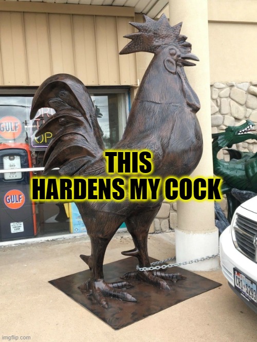 BigHardCock | THIS HARDENS MY COCK | image tagged in bighardcock | made w/ Imgflip meme maker