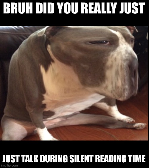 silent reading time | BRUH DID YOU REALLY JUST; JUST TALK DURING SILENT READING TIME | image tagged in blank white template | made w/ Imgflip meme maker