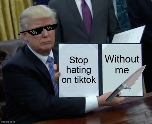 This guy is too lazy to add a title | Stop hating on tiktok; Without me | image tagged in memes,trump bill signing | made w/ Imgflip meme maker