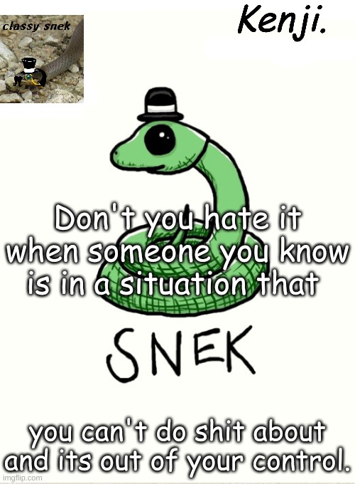 snek | Don't you hate it when someone you know is in a situation that; you can't do shit about and its out of your control. | image tagged in snek | made w/ Imgflip meme maker