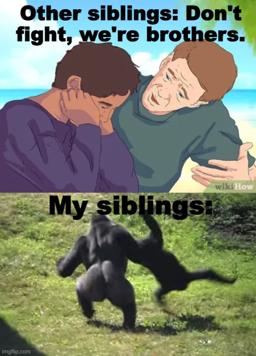 me and my brother | Other siblings: Don't fight, we're brothers. My siblings: | image tagged in monkey | made w/ Imgflip meme maker
