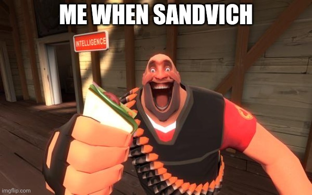 Sandvich fixes everything | ME WHEN SANDVICH | image tagged in sandvich fixes everything | made w/ Imgflip meme maker