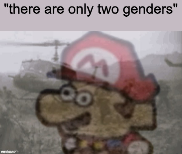 Mario PTSD | "there are only two genders" | image tagged in mario ptsd | made w/ Imgflip meme maker