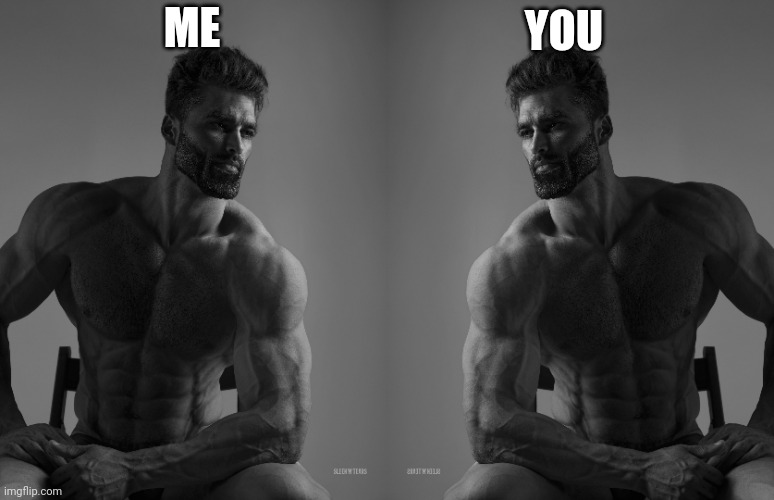 ME YOU | image tagged in giga chad | made w/ Imgflip meme maker