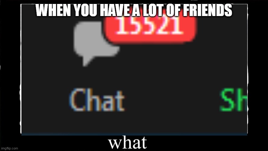 When you hava a lot of friends | WHEN YOU HAVE A LOT OF FRIENDS | image tagged in what,funny memes | made w/ Imgflip meme maker