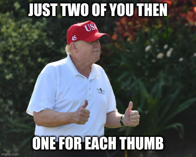 BS Rumpt | JUST TWO OF YOU THEN; ONE FOR EACH THUMB | image tagged in bs rumpt | made w/ Imgflip meme maker