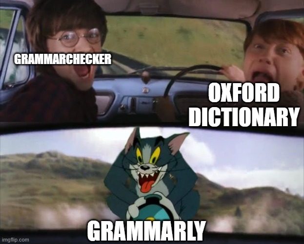hey | GRAMMARCHECKER; OXFORD DICTIONARY; GRAMMARLY | image tagged in tom chasing harry and ron weasly | made w/ Imgflip meme maker