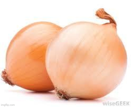 onions | image tagged in onions | made w/ Imgflip meme maker
