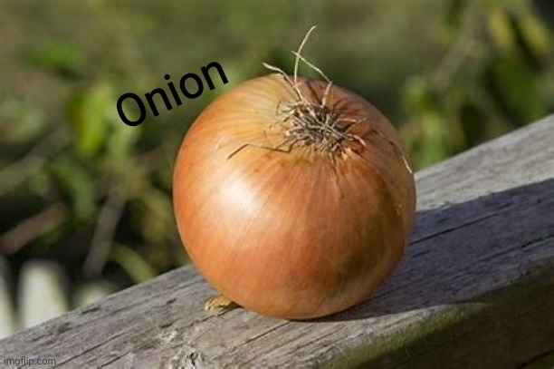 Onion Blank Meme Template