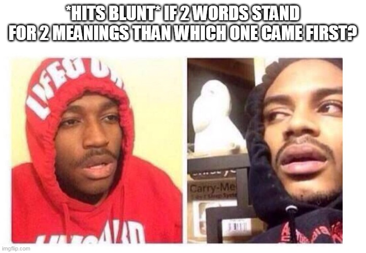Hits blunt |  *HITS BLUNT* IF 2 WORDS STAND FOR 2 MEANINGS THAN WHICH ONE CAME FIRST? | image tagged in hits blunt | made w/ Imgflip meme maker