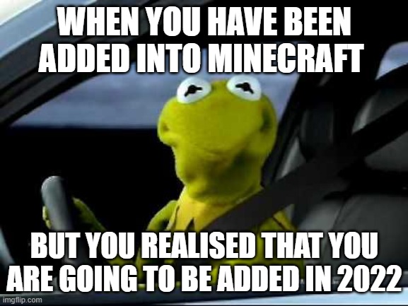 Can't think of a title | WHEN YOU HAVE BEEN ADDED INTO MINECRAFT; BUT YOU REALISED THAT YOU ARE GOING TO BE ADDED IN 2022 | image tagged in kermit car | made w/ Imgflip meme maker