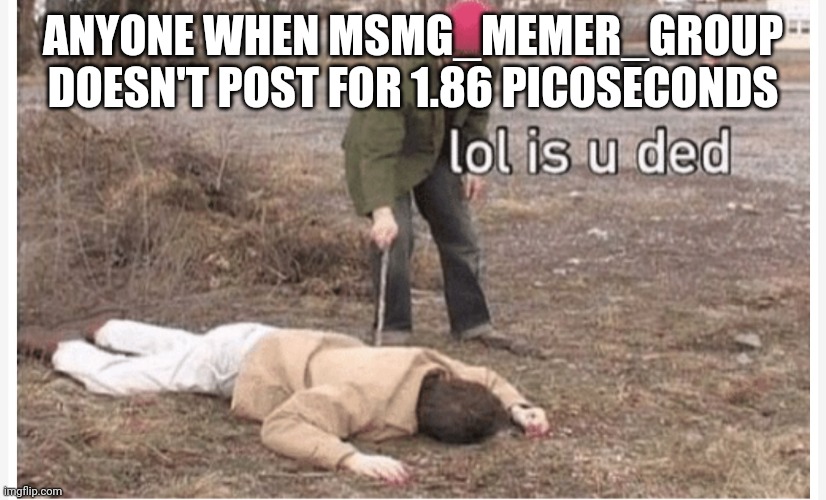 W a i t | ANYONE WHEN MSMG_MEMER_GROUP DOESN'T POST FOR 1.86 PICOSECONDS | image tagged in lol is u ded | made w/ Imgflip meme maker
