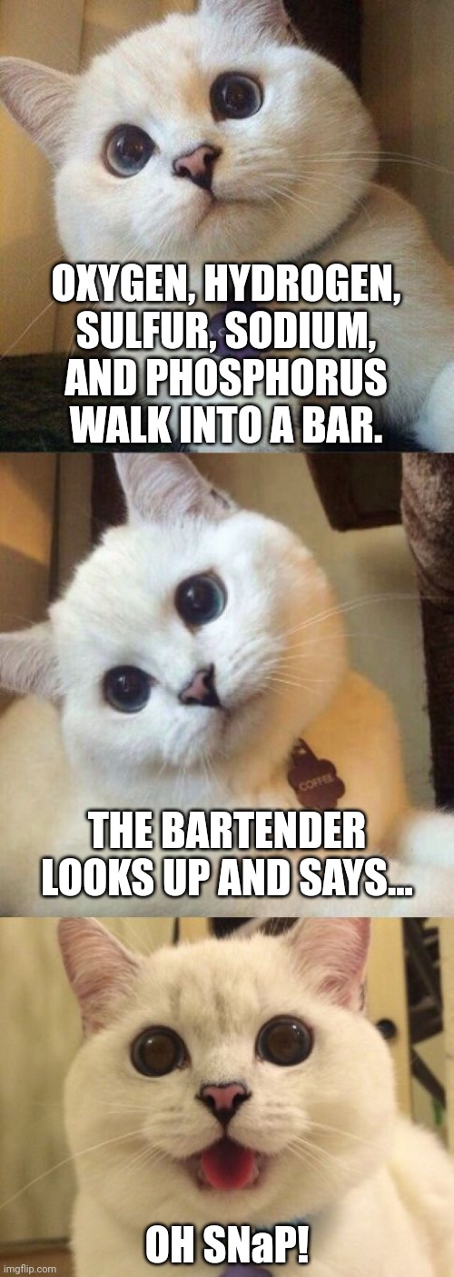 he had a reaction | OXYGEN, HYDROGEN,
SULFUR, SODIUM,
AND PHOSPHORUS
WALK INTO A BAR. THE BARTENDER LOOKS UP AND SAYS... OH SNaP! | image tagged in bad pun cat,chemistry cat | made w/ Imgflip meme maker