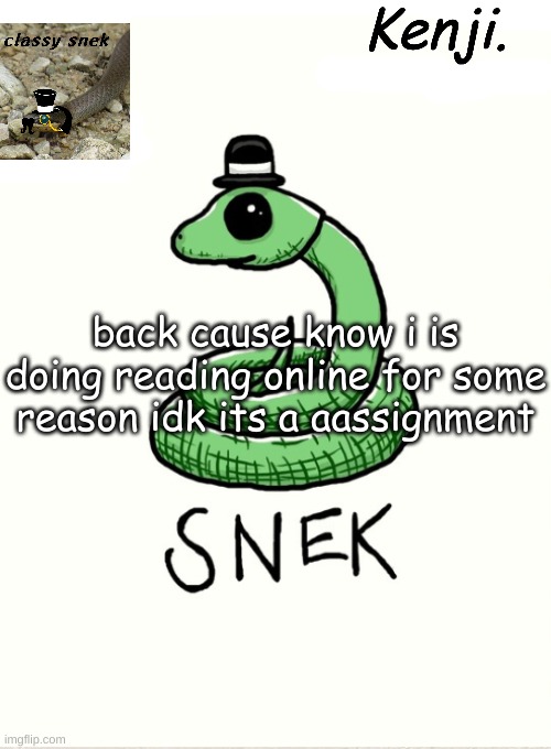 snek | back cause know i is doing reading online for some reason idk its a aassignment | image tagged in snek | made w/ Imgflip meme maker
