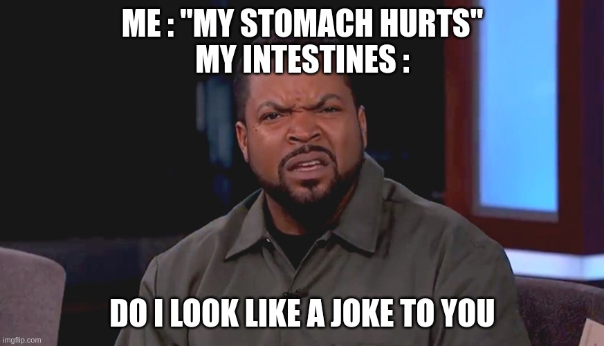 Really? Ice Cube | ME : "MY STOMACH HURTS"
MY INTESTINES :; DO I LOOK LIKE A JOKE TO YOU | image tagged in really ice cube,body,why are you reading this,stop reading the tags,oh wow are you actually reading these tags | made w/ Imgflip meme maker