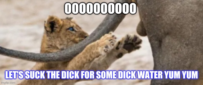 LETS SUCK IT! | OOOOOOOOOO; LET'S SUCK THE DICK FOR SOME DICK WATER YUM YUM | image tagged in lets suck it | made w/ Imgflip meme maker