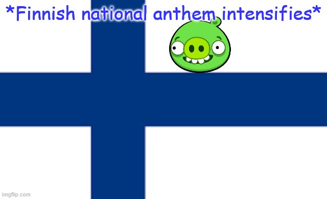 finnish flag | *Finnish national anthem intensifies* | image tagged in finnish flag | made w/ Imgflip meme maker