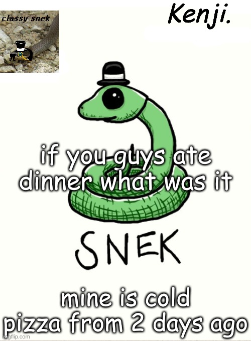 snek | if you guys ate dinner what was it; mine is cold pizza from 2 days ago | image tagged in snek | made w/ Imgflip meme maker