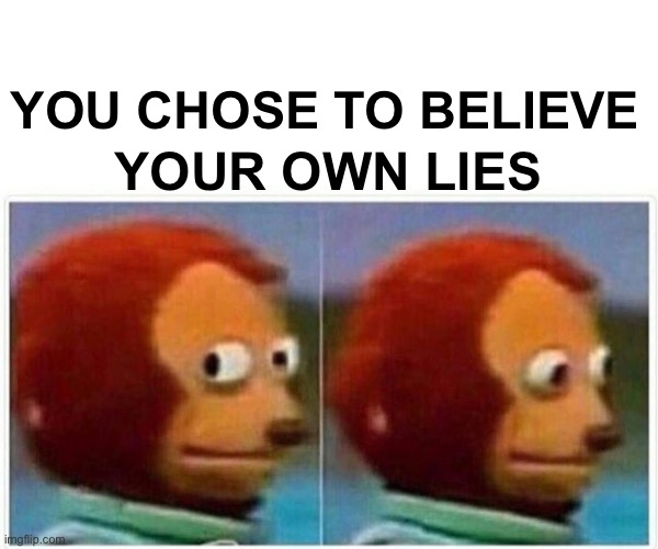 Monkey Puppet | YOU CHOSE TO BELIEVE; YOUR OWN LIES | image tagged in memes,monkey puppet | made w/ Imgflip meme maker