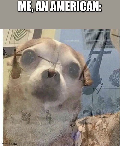 PTSD Chihuahua | ME, AN AMERICAN: | image tagged in ptsd chihuahua | made w/ Imgflip meme maker