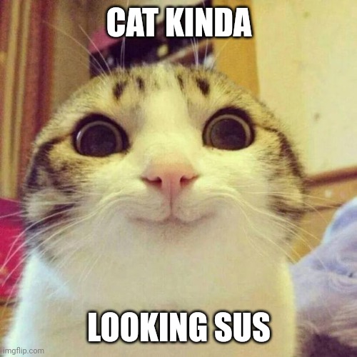 Smiling Cat Meme | CAT KINDA LOOKING SUS | image tagged in memes,smiling cat | made w/ Imgflip meme maker