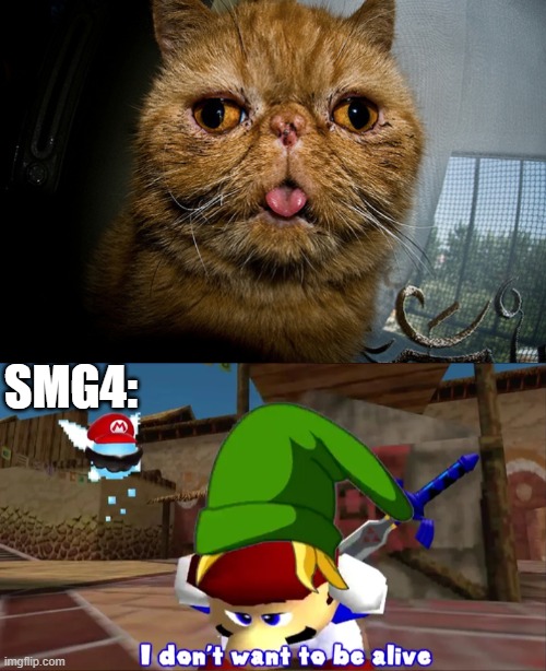 SMG4: | image tagged in dumb cat,i don't want to be alive smg4 | made w/ Imgflip meme maker
