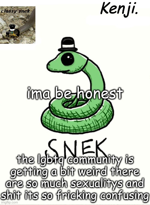 snek | ima be honest; the lgbtq community is getting a bit weird there are so much sexualitys and shit its so fricking confusing | image tagged in snek | made w/ Imgflip meme maker