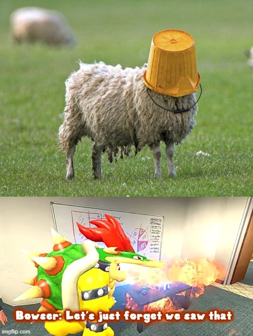 image tagged in stupid sheep,smg4 bowser let's just forget we saw that | made w/ Imgflip meme maker