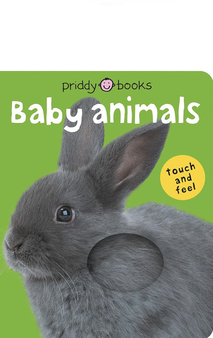 Touch and feel baby animals Blank Meme Template
