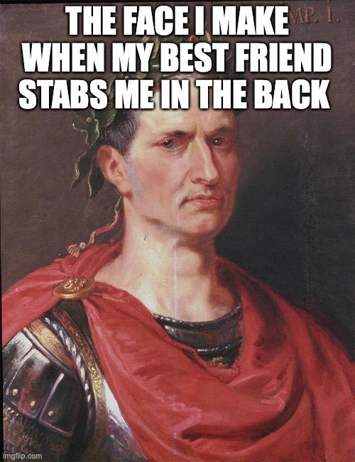 ceasar | THE FACE I MAKE WHEN MY BEST FRIEND STABS ME IN THE BACK | image tagged in ceasar | made w/ Imgflip meme maker