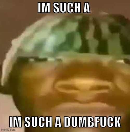 shitpost | IM SUCH A IM SUCH A DUMBFUCK | image tagged in shitpost | made w/ Imgflip meme maker