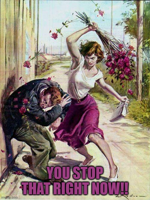 Beaten with Roses | YOU STOP THAT RIGHT NOW!! | image tagged in beaten with roses | made w/ Imgflip meme maker