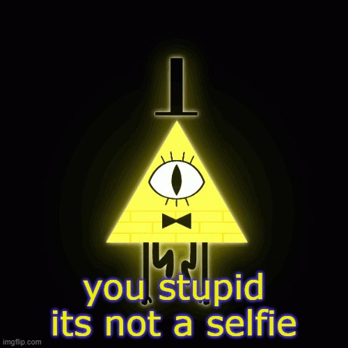 bill cipher says | you stupid its not a selfie | image tagged in bill cipher says | made w/ Imgflip meme maker