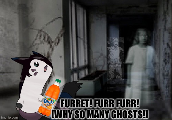 haunted hospital ghost | FURRET! FURR FURR!
[WHY SO MANY GHOSTS!] | image tagged in haunted hospital ghost | made w/ Imgflip meme maker