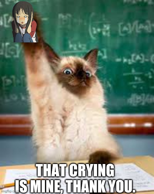 Raised hand cat | THAT CRYING IS MINE, THANK YOU. | image tagged in raised hand cat | made w/ Imgflip meme maker