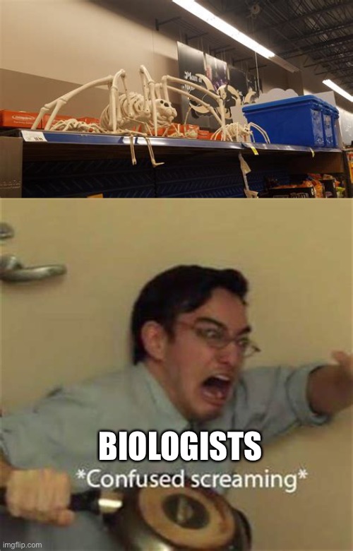 They’re Evolving? |  BIOLOGISTS | image tagged in spiders,confused screaming | made w/ Imgflip meme maker